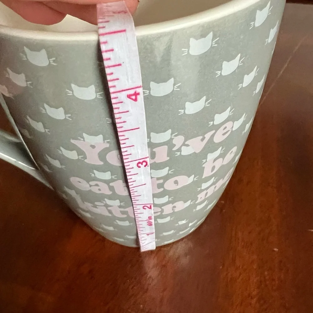 GUC “You’ve Cat to be Kitten Me” Grey Pet Mug